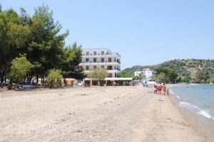 To Rodon_holidays_in_Hotel_Central Greece_Fthiotida_Agios Konstantinos