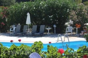 Eriphilly Studios & Apartments_best deals_Apartment_Aegean Islands_Lesvos_Mythimna (Molyvos)