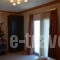 Studios Plaka_accommodation_in_Apartment_Aegean Islands_Thasos_Thasos Chora