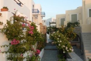 Votsalo Apartments_travel_packages_in_Cyclades Islands_Paros_Piso Livadi