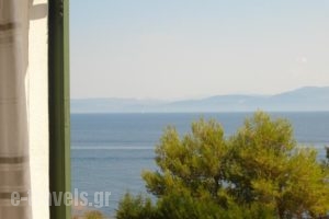 Villa Baronnos_holidays_in_Villa_Ionian Islands_Paxi_Paxi Rest Areas