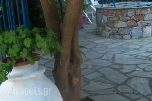 Smile Stella Studios_holidays_in_Hotel_Sporades Islands_Skopelos_Skopelos Chora