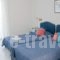 Karras Star Hotel_best prices_in_Hotel_Aegean Islands_Ikaria_Raches