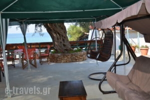 Studios Plaka_best prices_in_Apartment_Aegean Islands_Thasos_Thasos Chora