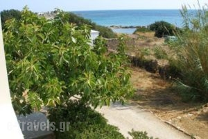 Aeolos Studios_travel_packages_in_Crete_Chania_Sfakia