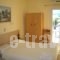 Hercules seafront Studios_best prices_in_Apartment_Ionian Islands_Kefalonia_Assos
