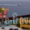 Sea View Studios_accommodation_in_Hotel_Sporades Islands_Skopelos_Skopelos Chora