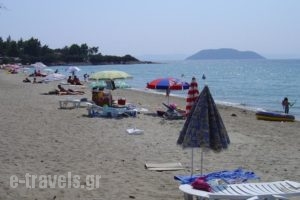 Star Paradise_best prices_in_Hotel_Macedonia_Halkidiki_Neos Marmaras