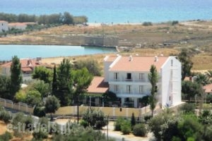 Apollon Resort_holidays_in_Hotel_Aegean Islands_Samos_Pythagorio