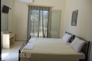 Kalliope Apartments_best deals_Room_Ionian Islands_Lefkada_Lefkada Chora