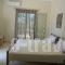 Kalliope Apartments_best deals_Room_Ionian Islands_Lefkada_Lefkada Chora
