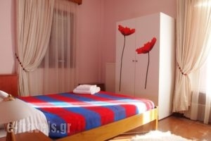 Tymfristos Guesthouse_best prices_in_Hotel_Central Greece_Fthiotida_Timfristos