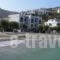 Toula Studio_holidays_in_Hotel_Aegean Islands_Ikaria_Ikaria Chora