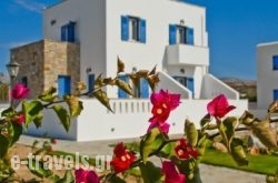 Blue Myth Studios in Naxos Rest Areas, Naxos, Cyclades Islands