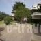 Aria_best prices_in_Apartment_Ionian Islands_Kefalonia_Kefalonia'st Areas