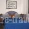 Villa Pefki_accommodation_in_Villa_Crete_Chania_Chania City