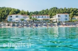 Dolphin Beach Hotel in Athens, Attica, Central Greece