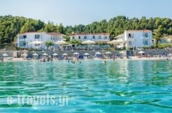 Dolphin Beach Hotel in Kassandreia, Halkidiki, Macedonia