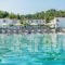Dolphin Beach Hotel_accommodation_in_Hotel_Macedonia_Halkidiki_Kassandreia
