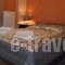 Xenonas Drimos_best prices_in_Apartment_Central Greece_Evritania_Karpenisi