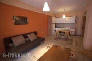 Xenonas Drimos_accommodation_in_Apartment_Central Greece_Evritania_Karpenisi