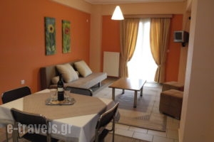 Xenonas Drimos_best deals_Apartment_Central Greece_Evritania_Karpenisi