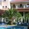 Hotel Pallas_holidays_in_Hotel_Ionian Islands_Zakinthos_Agios Sostis