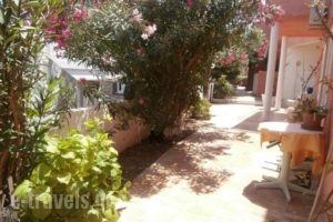 Vigla_holidays_in_Apartment_Crete_Chania_Galatas
