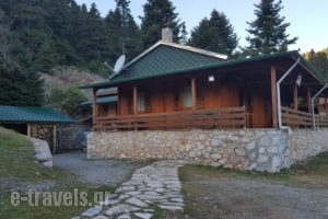 Kapsitsa Forest Village_best prices_in_Room_Central Greece_Fokida_Amfissa
