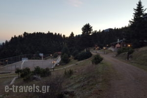 Kapsitsa Forest Village_accommodation_in_Room_Central Greece_Fokida_Amfissa