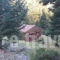 Kapsitsa Forest Village_best deals_Room_Central Greece_Fokida_Amfissa