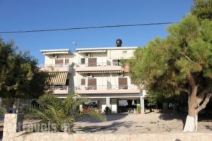 Finikas_best deals_Apartment_Peloponesse_Argolida_Nafplio