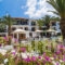 Panormos Beach_holidays_in_Hotel_Sporades Islands_Skopelos_Panormos