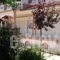 Guesthouse Erodios_holidays_in_Hotel_Macedonia_Pella_Aridea