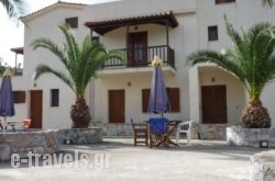 Nautilus in Skopelos Chora, Skopelos, Sporades Islands