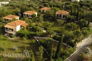 Muses_holidays_in_Room_Peloponesse_Messinia_Finikoundas