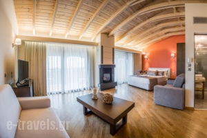 Nepheli_accommodation_in_Hotel_Epirus_Preveza_Mytikas