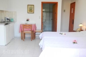 Annita Studios_best prices_in_Hotel_Dodekanessos Islands_Karpathos_Karpathos Rest Areas