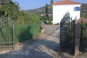 Elpis_accommodation_in_Hotel_Aegean Islands_Lesvos_Anaxos