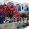 Koralli Studios_accommodation_in_Hotel_Cyclades Islands_Kea_Korisia