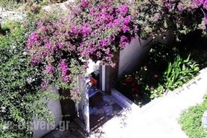 Koralli Studios_lowest prices_in_Hotel_Cyclades Islands_Kea_Korisia