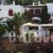 Akrogiali Hotel_accommodation_in_Hotel_Cyclades Islands_Tinos_Agios Sostis
