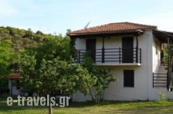 Villa Mina_s __1