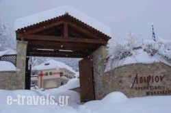 Leirion_s __1