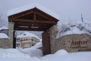 Leirion_accommodation_in_Hotel_Thessaly_Trikala_Paleochori