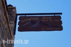 Olympios Zeus Hotel in Athens, Attica, Central Greece