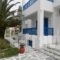 Villa Dora Studios 2_lowest prices_in_Villa_Cyclades Islands_Andros_Batsi
