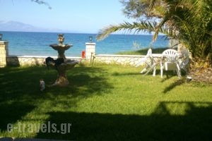 Psarou Studios_best prices_in_Apartment_Ionian Islands_Zakinthos_Zakinthos Rest Areas