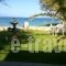 Psarou Studios_best prices_in_Apartment_Ionian Islands_Zakinthos_Zakinthos Rest Areas