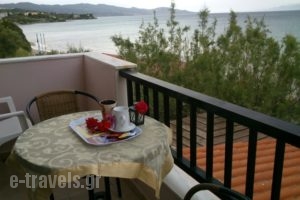 Psarou Studios_travel_packages_in_Ionian Islands_Zakinthos_Zakinthos Rest Areas